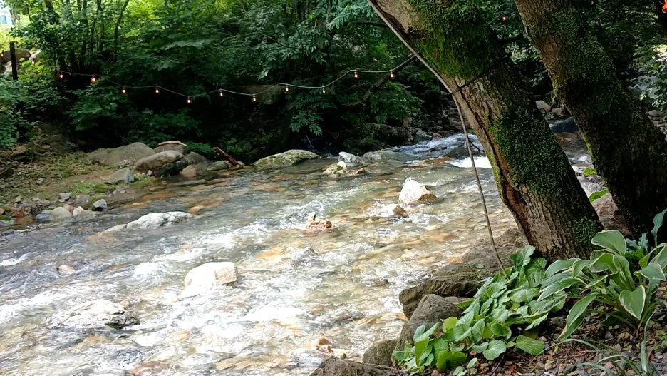 20240725_103214482.jpg?type=w1