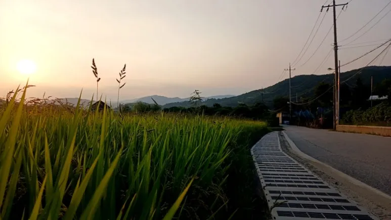 20240907%EF%BC%BF180627280.jpg?type=w773