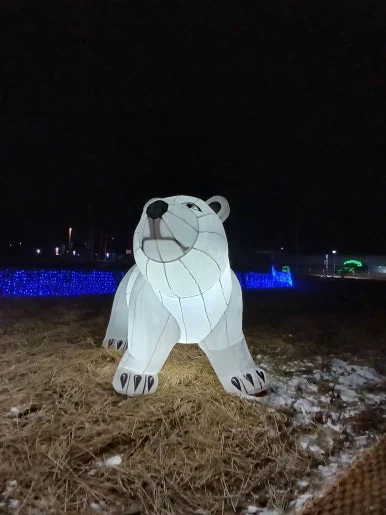 20231225_193610.jpg?type=w386