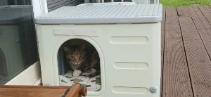 900%EF%BC%BF20250519%EF%BC%BF075630.jpg?type=w773