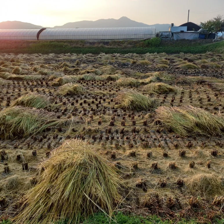 KakaoTalk_20231015_120633228.jpg?type=w773