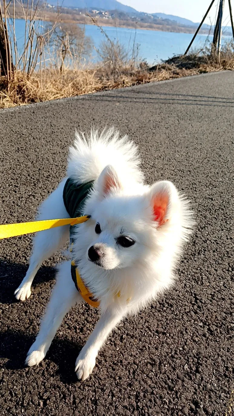 20240126_152107502.jpg?type=w773