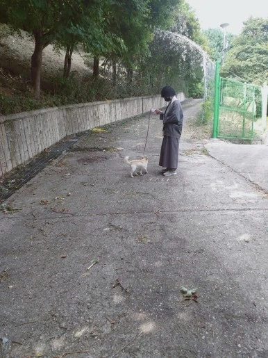 SE-c922b9be-4171-11ee-aa85-014525ba725a.jpg?type=w386