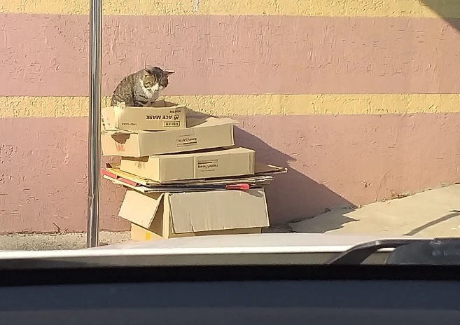 SE-28b1ead9-5d3d-46ee-a21d-d222ad563a31.jpg?type=w773