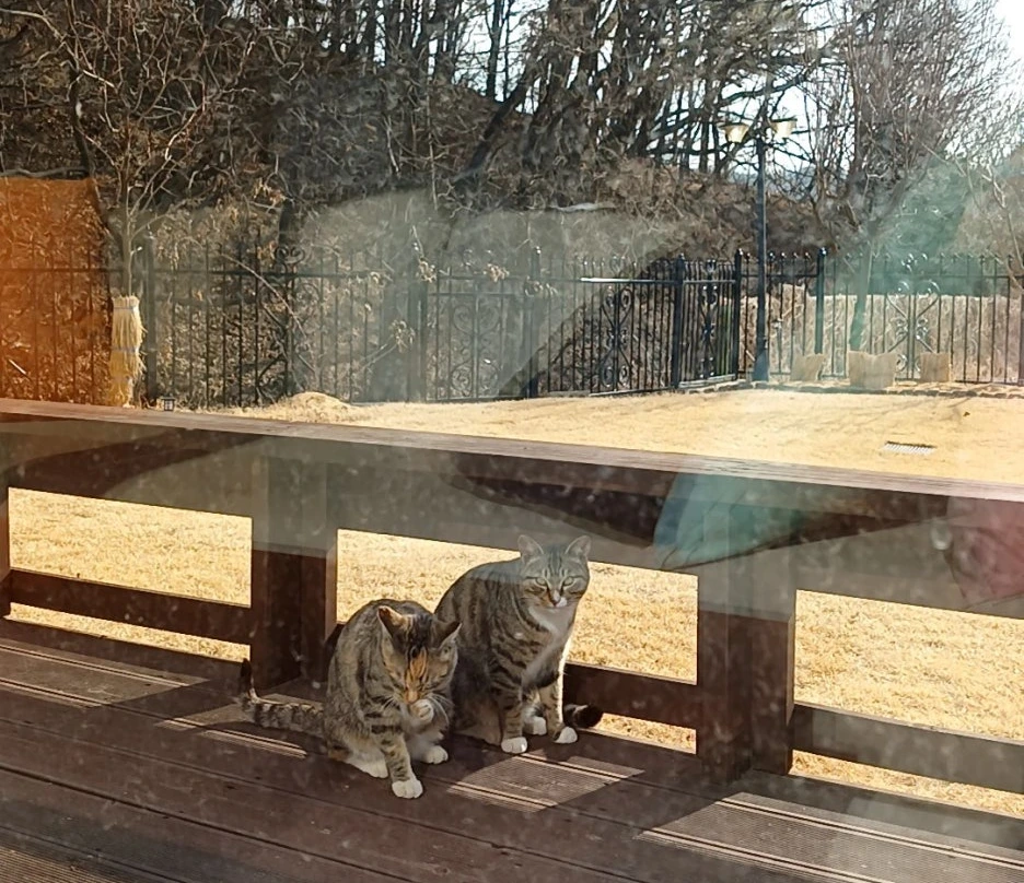 20240202_134515656.jpg?type=w1