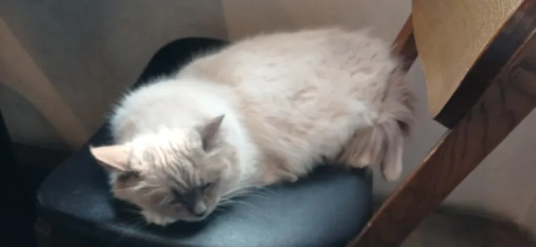 900%EF%BC%BF20260115%EF%BC%BF135428.jpg?type=w773