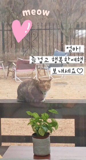 900%EF%BC%BF20251210%EF%BC%BF094101.jpg?type=w773