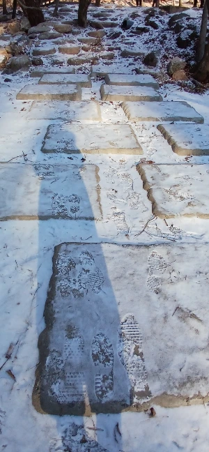 900%EF%BC%BF20260111%EF%BC%BF101538.jpg?type=w773