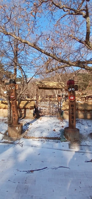 900%EF%BC%BF20260111%EF%BC%BF102134.jpg?type=w773