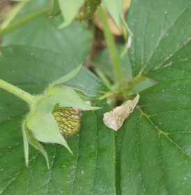 900%EF%BC%BF20250519%EF%BC%BF080412.jpg?type=w773