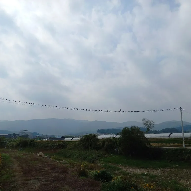 20231015%EF%BC%BF123336.jpg?type=w773