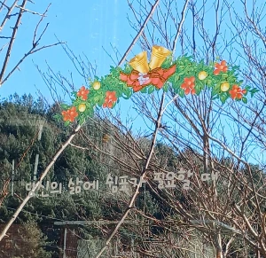 900%EF%BC%BF1768107982896.jpg?type=w773