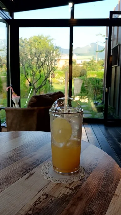 20240907%EF%BC%BF173634010.jpg?type=w386