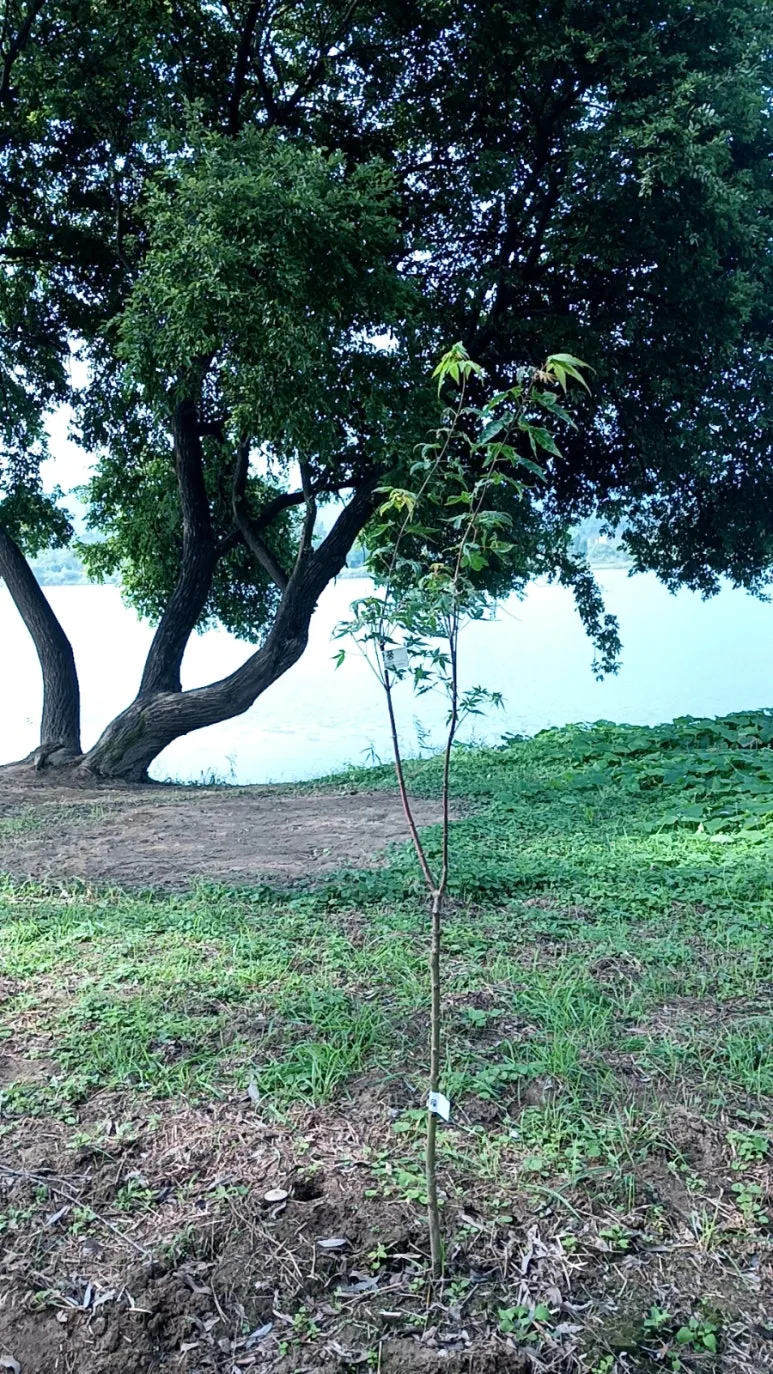 20241017%EF%BC%BF104818390.jpg?type=w773