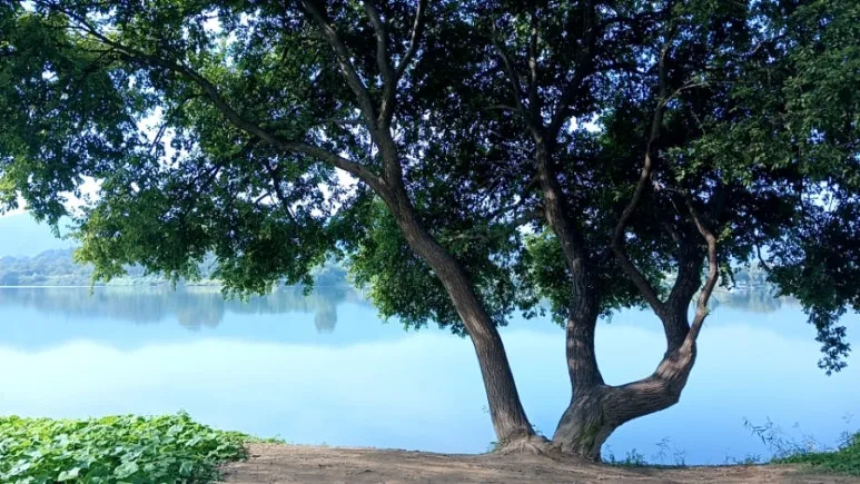 20241017%EF%BC%BF103333143.jpg?type=w773