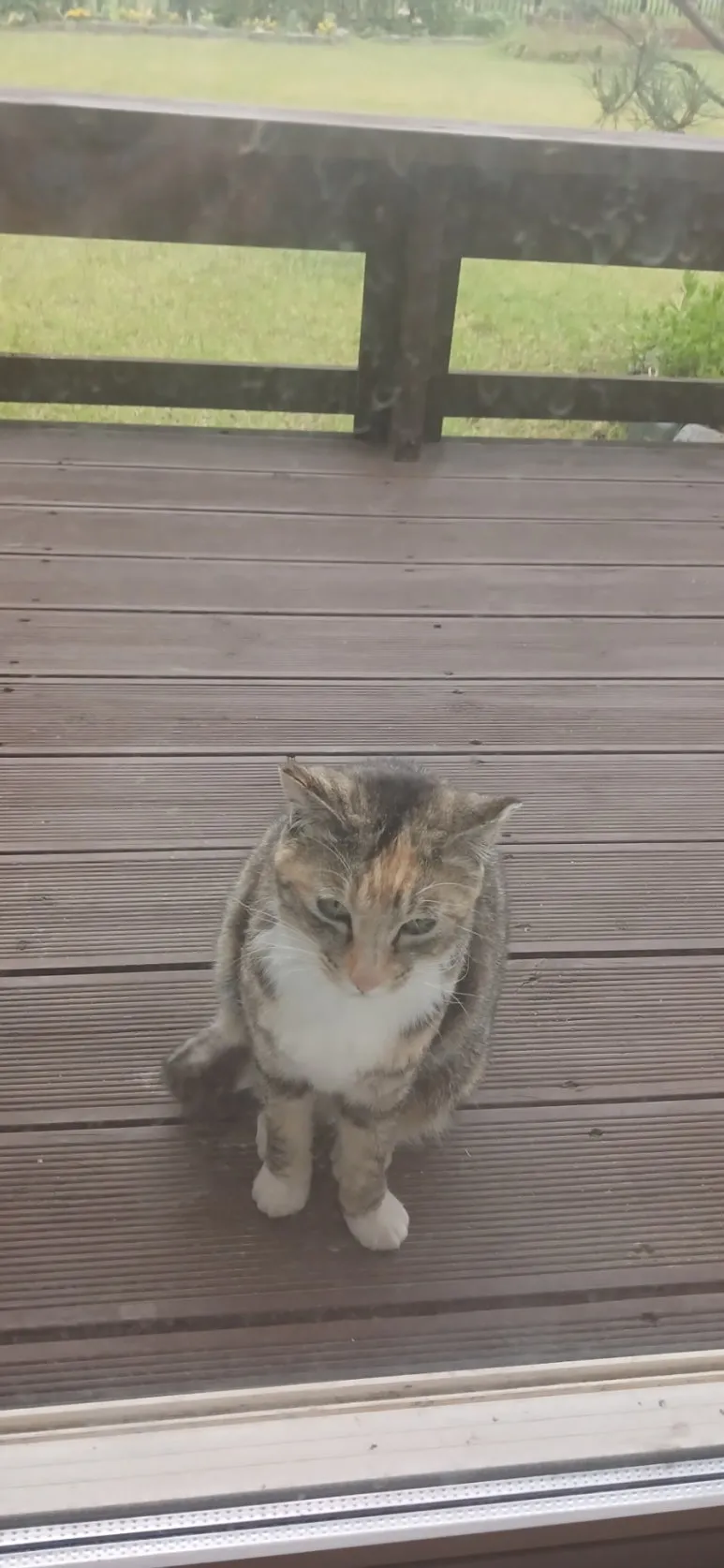 900%EF%BC%BF20250519%EF%BC%BF060851.jpg?type=w773