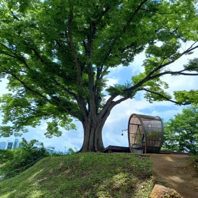 20230726_121159.jpg?type=w386