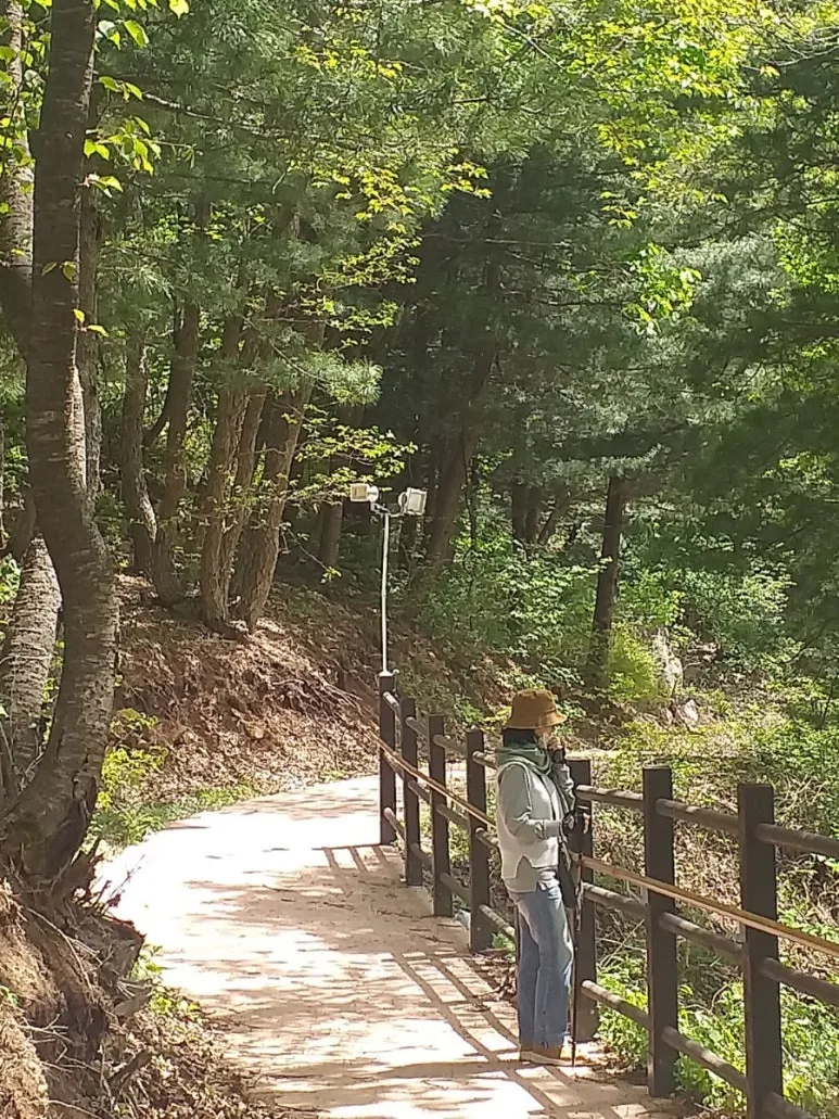 1716881800150.jpg?type=w773