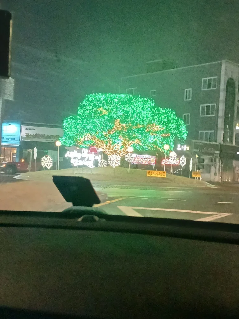 20231225_192221.jpg?type=w773