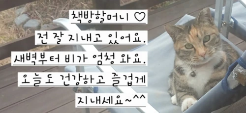 900%EF%BC%BF20251210%EF%BC%BF114407.jpg?type=w773