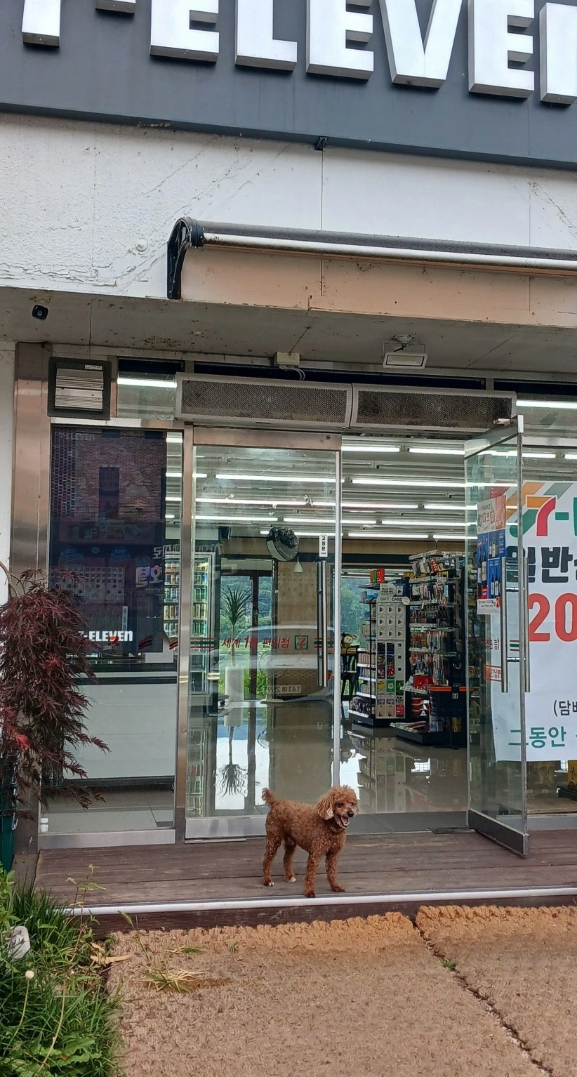 20250615_175602.jpg?type=w1