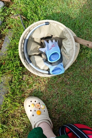 900%EF%BC%BF20250518%EF%BC%BF093511.jpg?type=w773