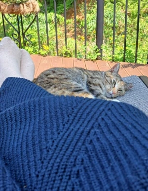 20250518_141358.jpg?type=w386