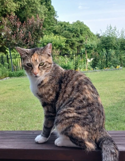 900%EF%BC%BF20250522%EF%BC%BF183936.jpg?type=w773