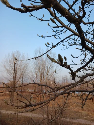 20231229_155800.jpg?type=w386