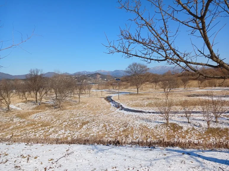 20240107_133907.jpg?type=w773