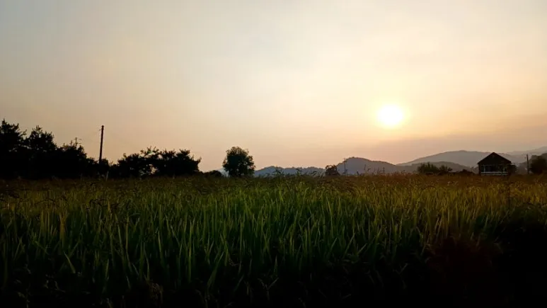 20240907%EF%BC%BF180555741.jpg?type=w773