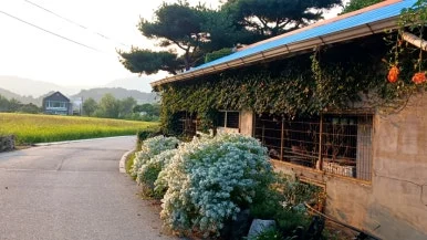 20240907%EF%BC%BF180429419.jpg?type=w386