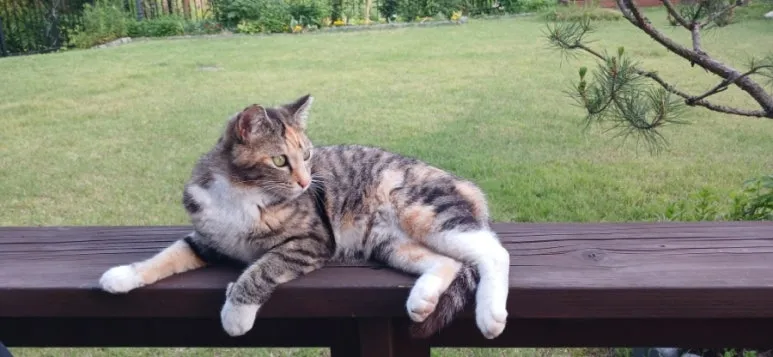 900%EF%BC%BF20250522%EF%BC%BF183957.jpg?type=w773