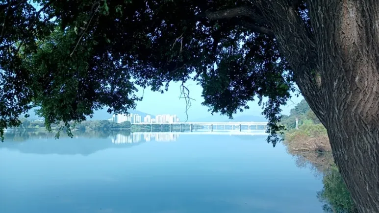 20241017%EF%BC%BF103308120.jpg?type=w773