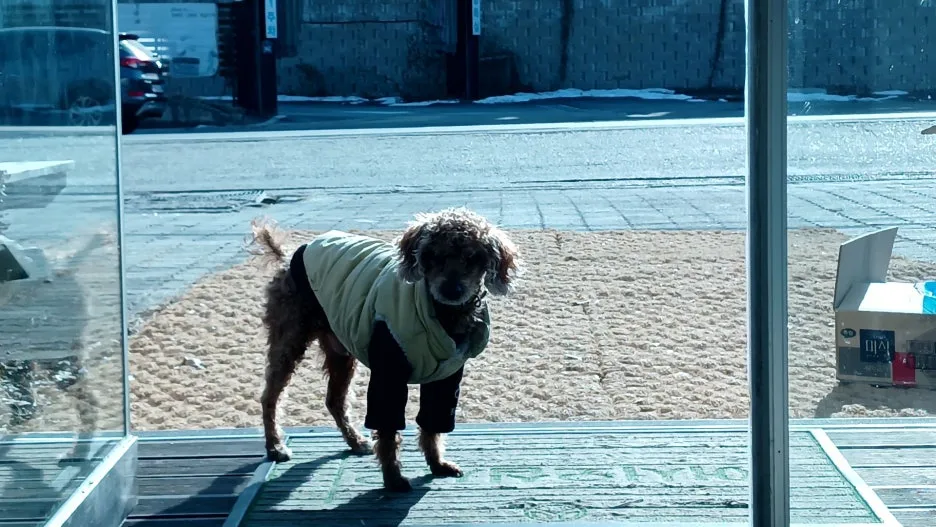 20250103_122431328.jpg?type=w1