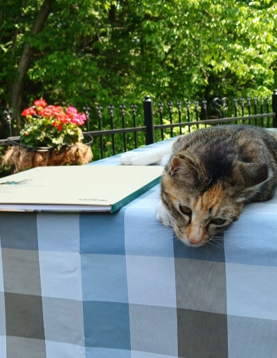 900%EF%BC%BF20250518%EF%BC%BF141223.jpg?type=w773