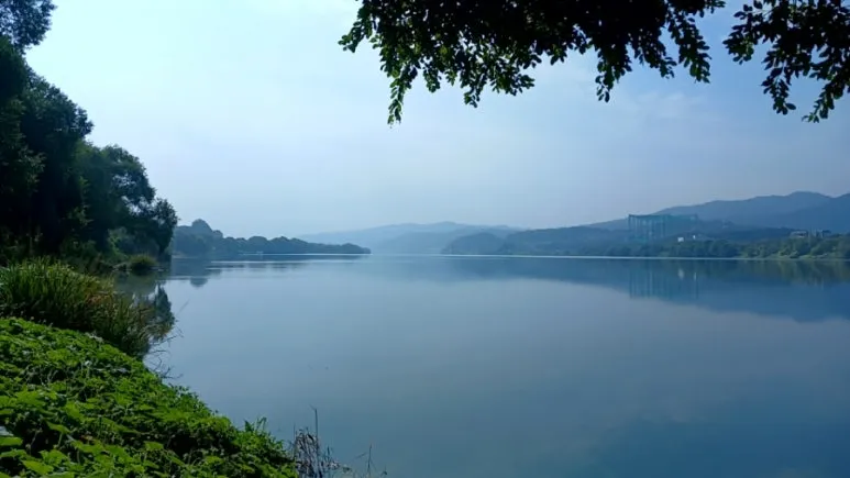 20241017%EF%BC%BF103259955.jpg?type=w773