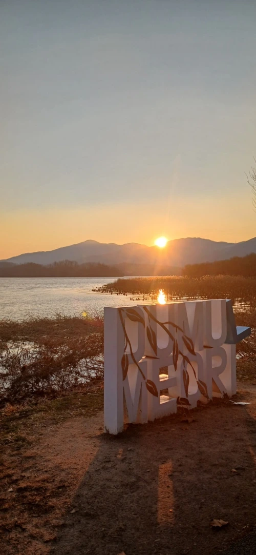 900%EF%BC%BF20251211%EF%BC%BF164312.jpg?type=w773