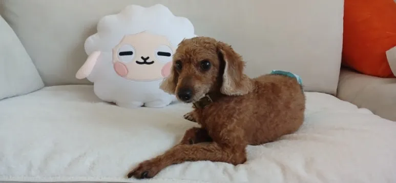 900%EF%BC%BF20250810%EF%BC%BF101412.jpg?type=w773