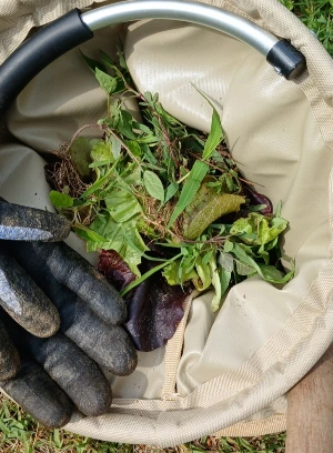 900%EF%BC%BF20250518%EF%BC%BF094426.jpg?type=w773