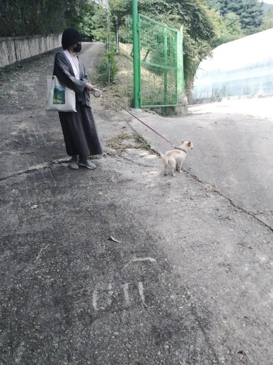 SE-c920bded-4171-11ee-aa85-e990a6fa00ef.jpg?type=w386