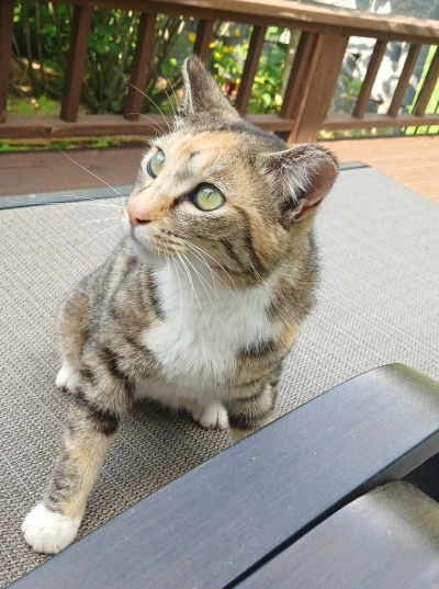 900%EF%BC%BF20250522%EF%BC%BF163907.jpg?type=w773