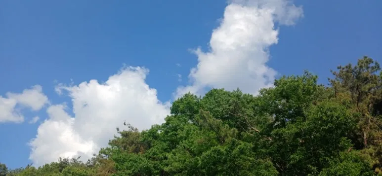 900%EF%BC%BF20250522%EF%BC%BF163833.jpg?type=w773