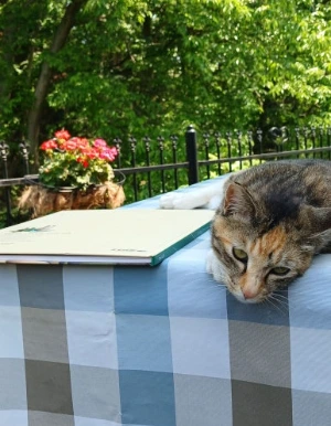 20250518_141222.jpg?type=w386