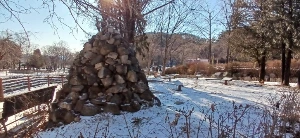 900%EF%BC%BF20260111%EF%BC%BF102141.jpg?type=w773