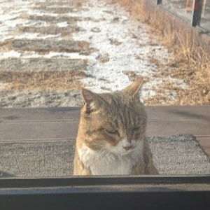 900%EF%BC%BF20260111%EF%BC%BF103559.jpg?type=w773