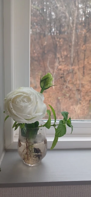 900%EF%BC%BF20251211%EF%BC%BF095736.jpg?type=w3840