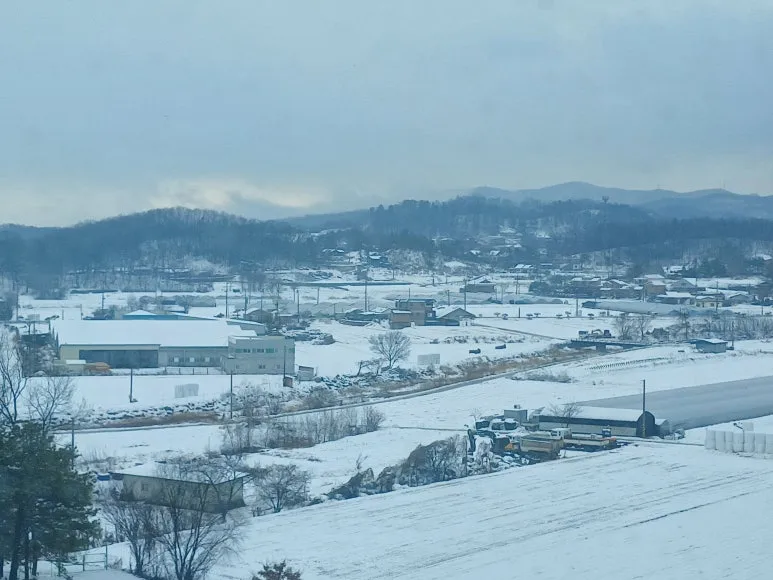 20231231_093440.jpg?type=w773