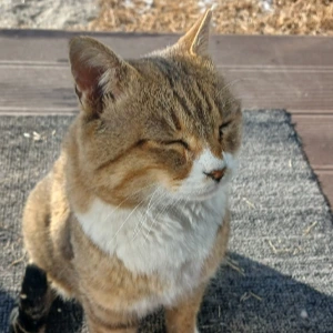 900%EF%BC%BF20260111%EF%BC%BF104544.jpg?type=w773