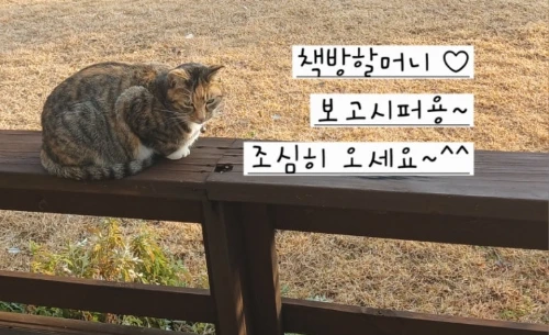 900%EF%BC%BF20251211%EF%BC%BF155920.jpg?type=w773